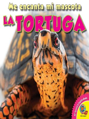 cover image of La tortuga